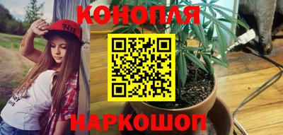 крисы Бийск