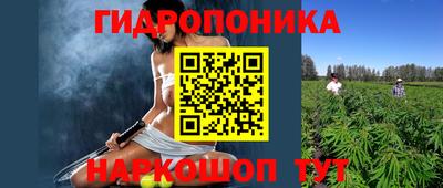 крисы Бийск