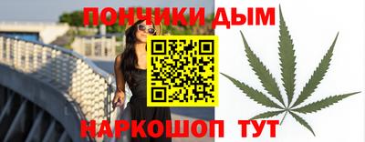 крисы Бийск